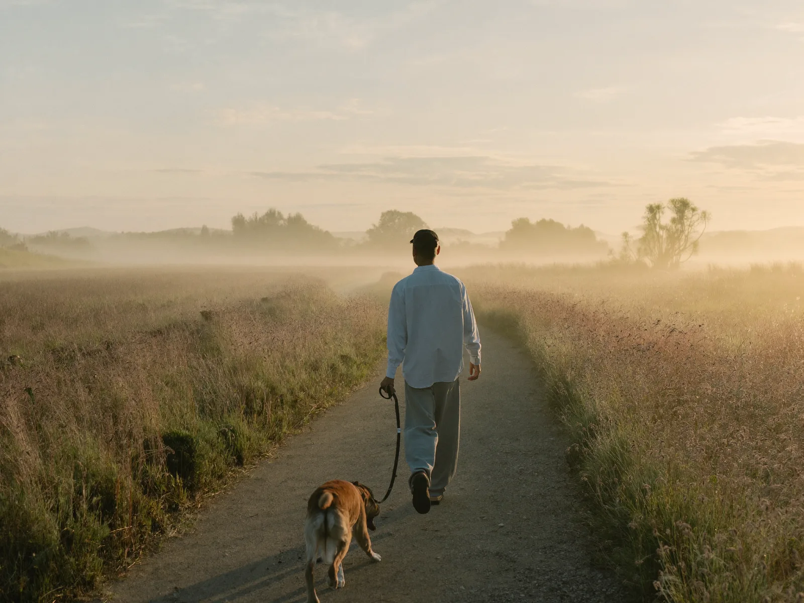 Frau geht am frühen Morgen entspannt mit ihrem Hund über eine Wiese